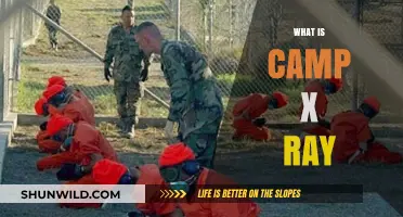 Unveiling Camp X-Ray: Guantanamo Bay's Controversial Detention Facility Explained