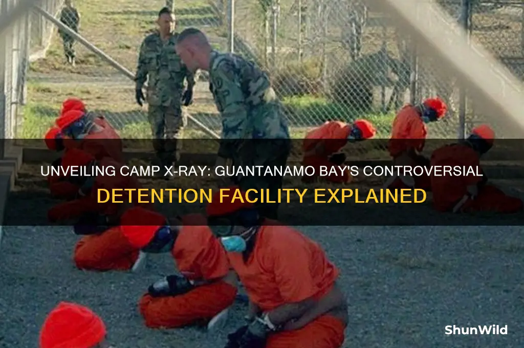 what is camp x ray