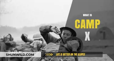 Unveiling Camp X: Canada's Secret WWII Spy Training Mystery