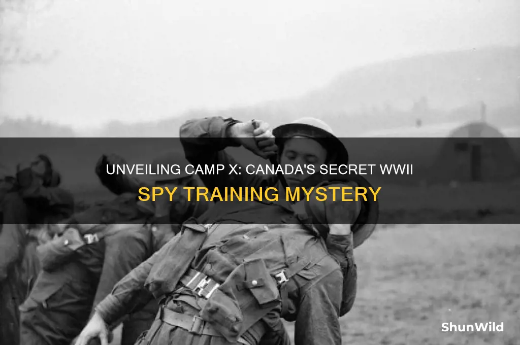 what is camp x