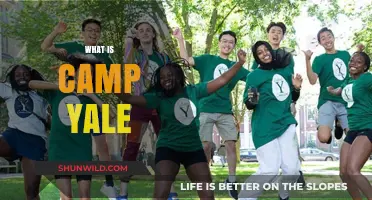 Exploring Camp Yale: History, Activities, and Unique Experiences Revealed