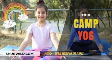 Discover Camp Yog: A Unique Blend of Yoga and Adventure