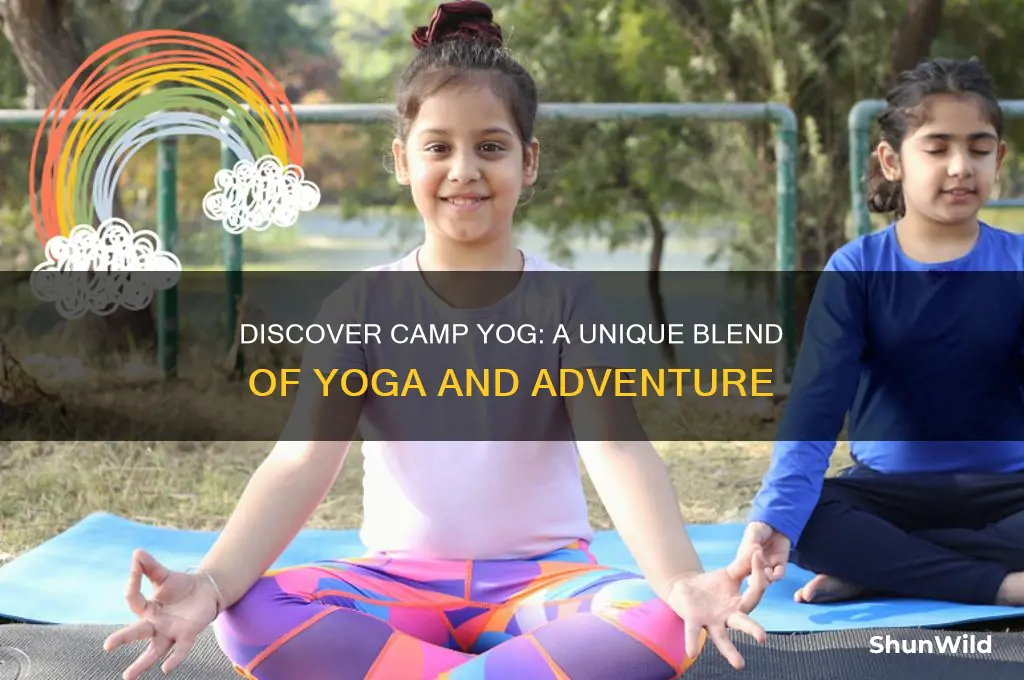 what is camp yog