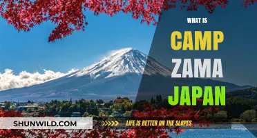 Exploring Camp Zama: A U.S. Army Base in Japan's Heart