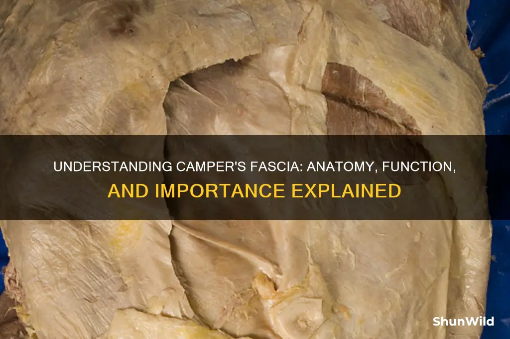what is camper