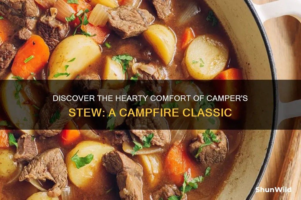 what is camper