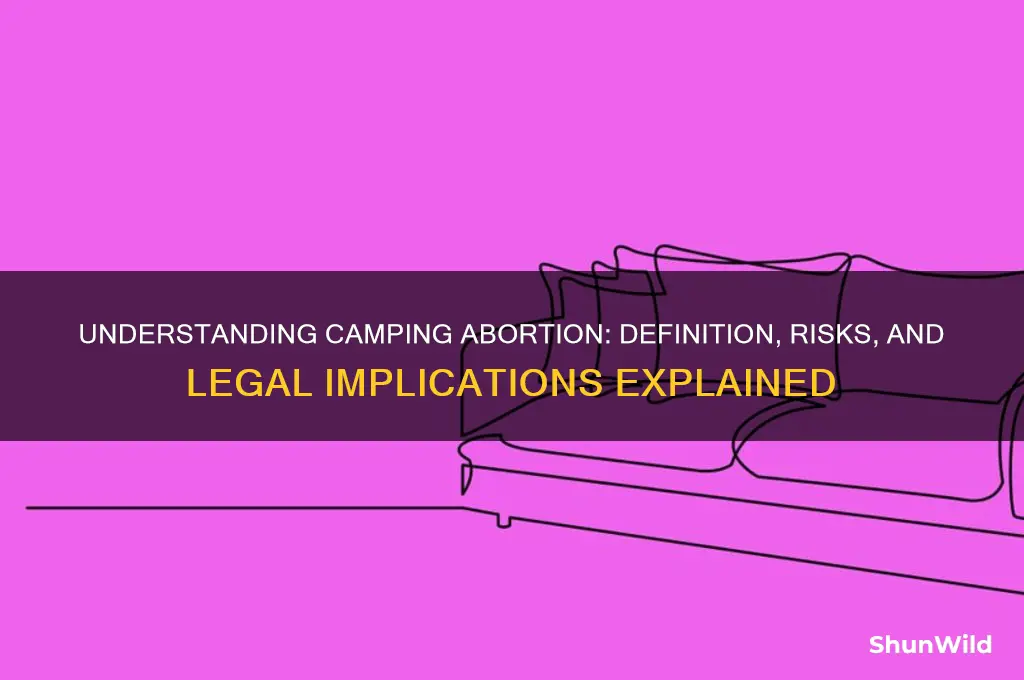 what is camping abortion