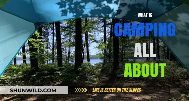 Exploring Nature's Serenity: The Ultimate Guide to Camping Essentials