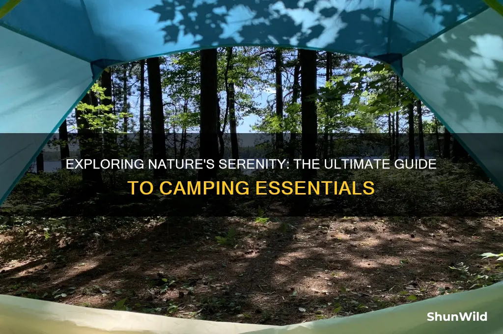 what is camping all about