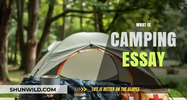Exploring the Joys and Essentials of Camping: A Comprehensive Essay