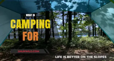 Exploring Nature's Serenity: The Purpose and Joy of Camping Adventures