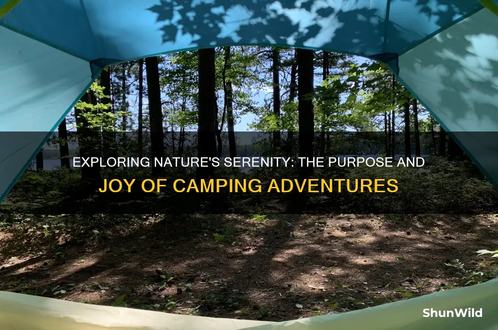 what is camping for