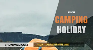 Discover the Joys of Camping Holidays: Nature, Adventure, and Relaxation