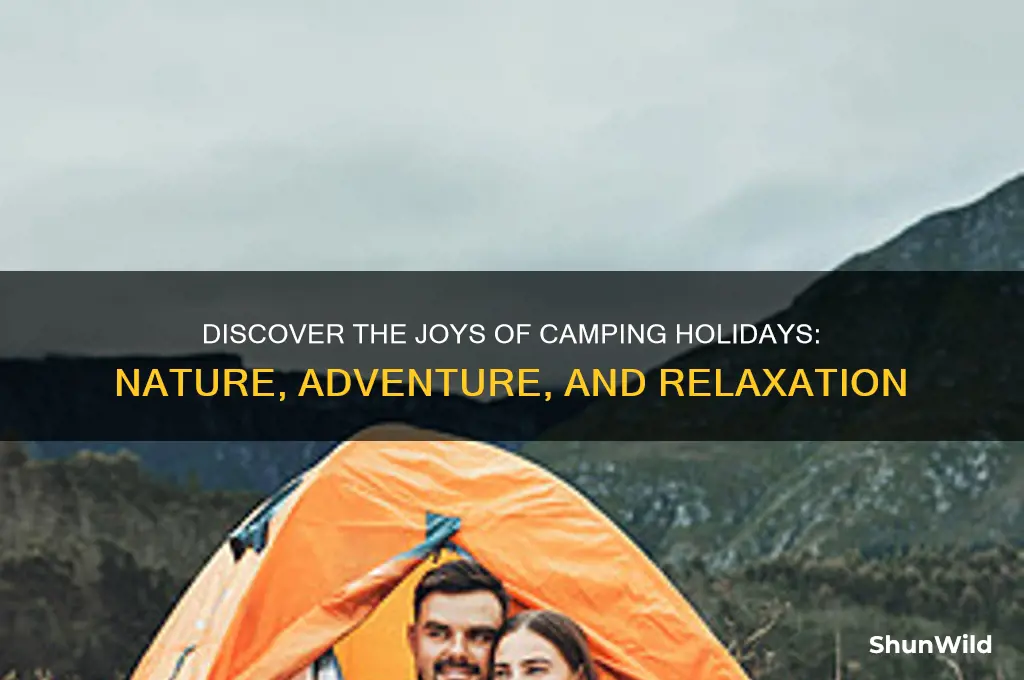 what is camping holiday