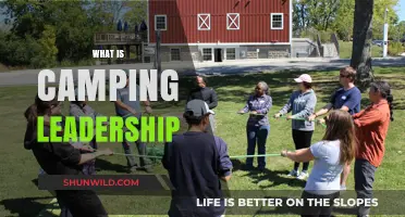 Mastering Camping Leadership: Skills, Roles, and Team Success Strategies