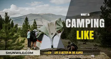 Exploring the Great Outdoors: What Camping Life Truly Feels Like