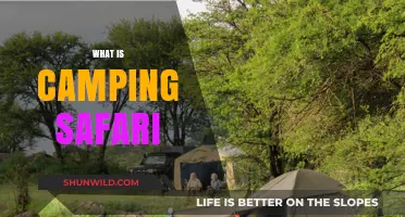 Exploring the Wild: Understanding the Adventure of Camping Safaris