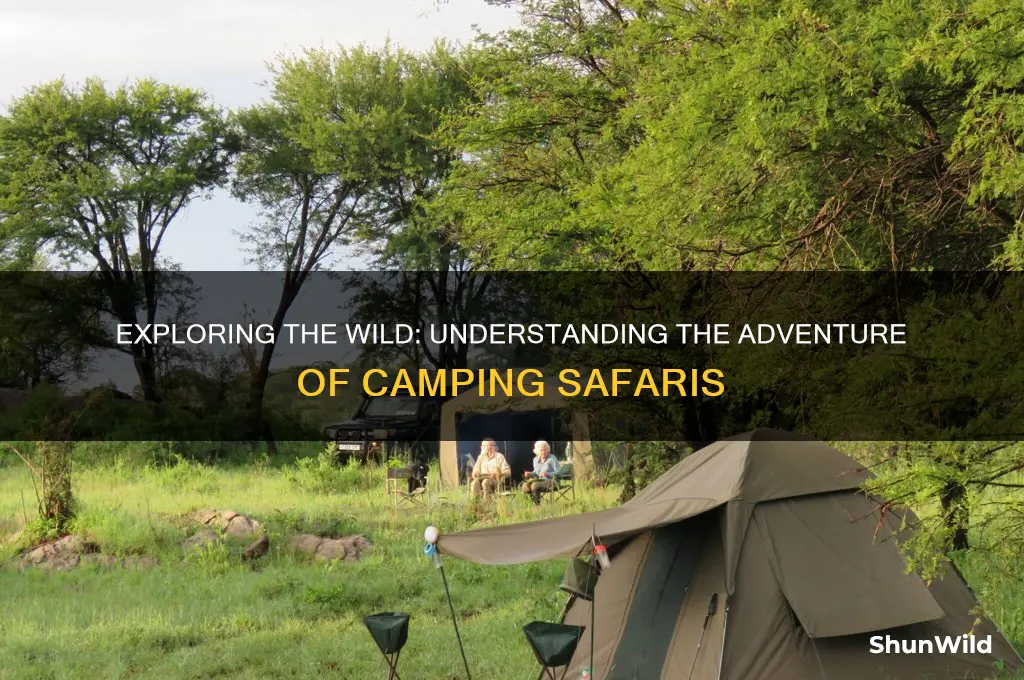 what is camping safari