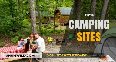 Exploring the Great Outdoors: Understanding Camping Sites and Their Benefits