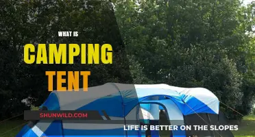 Exploring the Great Outdoors: What is a Camping Tent?