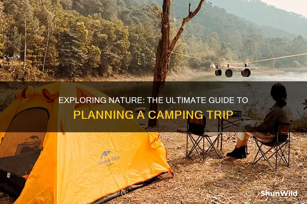 what is camping trip