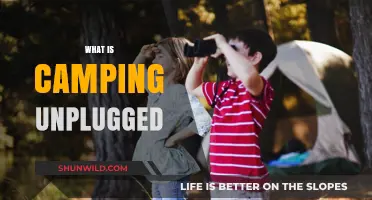 Camping Unplugged: Rediscovering Nature Without Technology's Distractions
