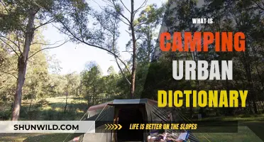 Exploring the Urban Dictionary Definition of Camping: A Modern Twist