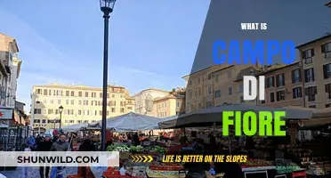 Campo di Fiore: Exploring Rome's Historic Square, Market, and Culture