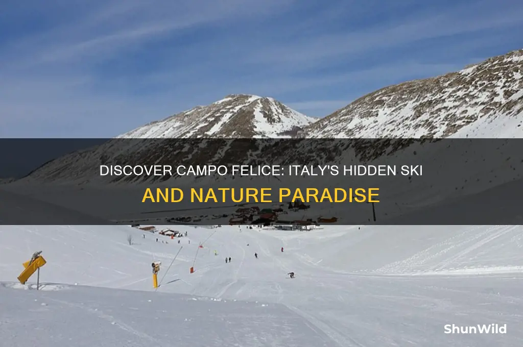 what is campo felice