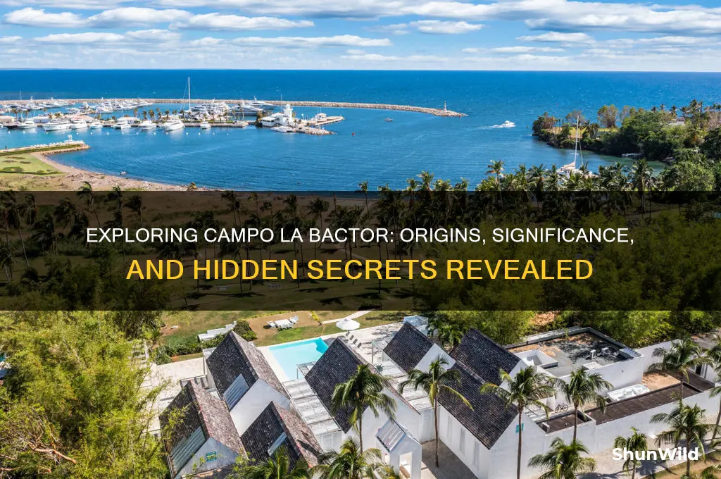 what is campo la bactor