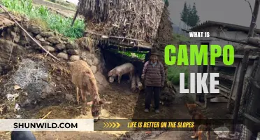 Exploring Campo: Lifestyle, Culture, and Unique Charm Revealed