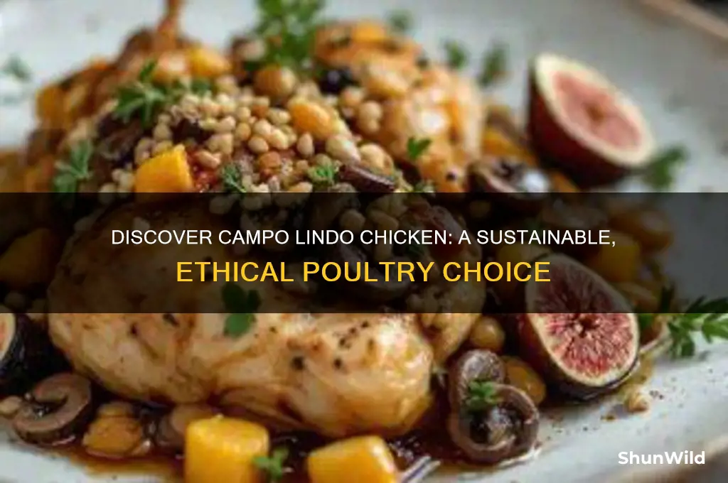 what is campo lindo chicken