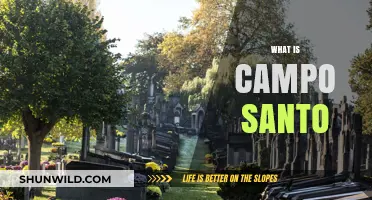 Exploring Campo Santo: History, Significance, and Cultural Impact Revealed