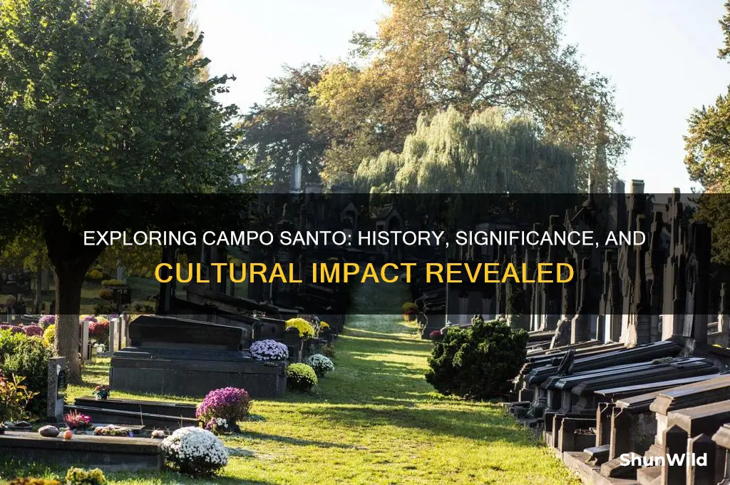 what is campo santo