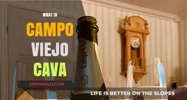 Discover Campo Viejo Cava: Spain's Sparkling Wine Delight Explained