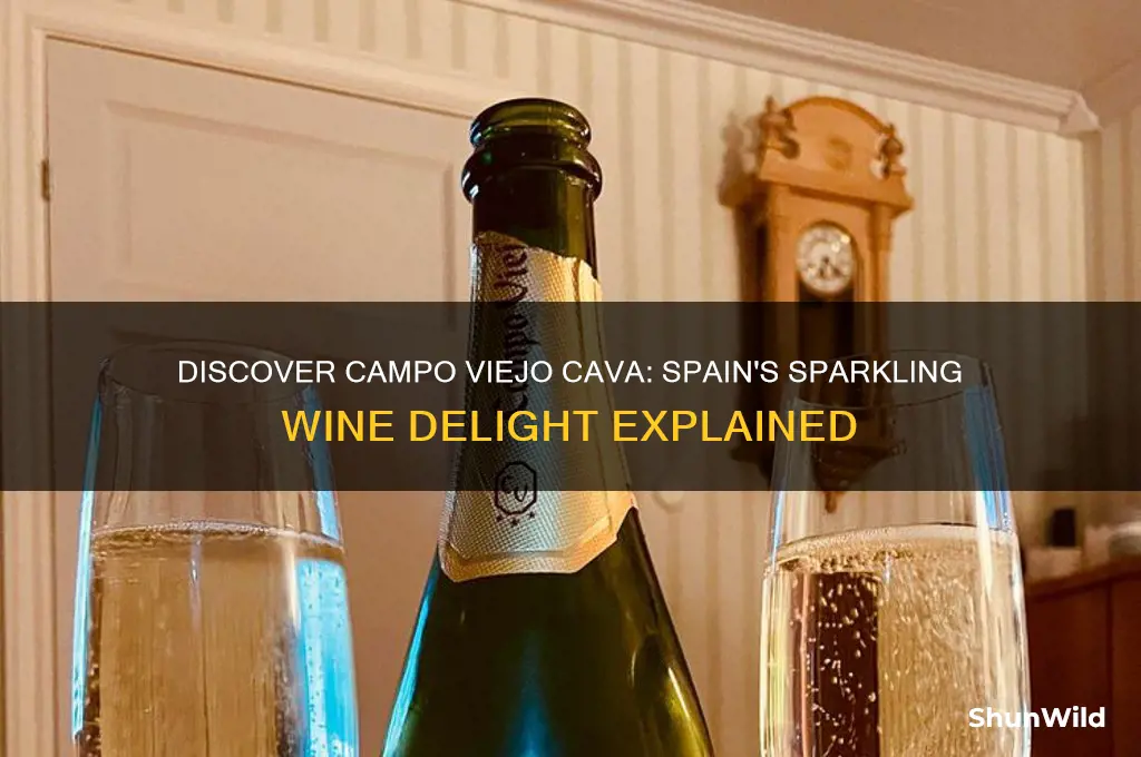 what is campo viejo cava