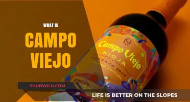 Discover Campo Viejo: Spain's Iconic Rioja Wine Legacy Explained