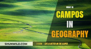 Understanding Campos: Exploring Geography's Unique Grassland Ecosystems and Features