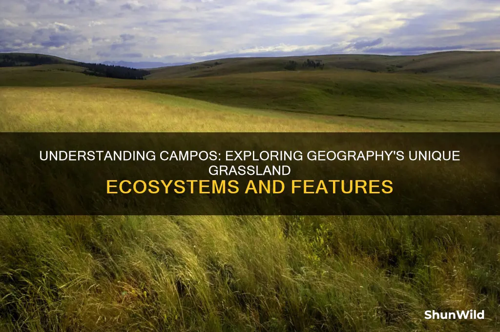 what is campos in geography
