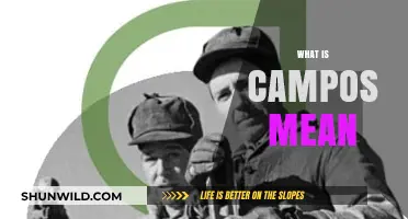 Understanding the Meaning and Origins of the Term 'Campos' Explained