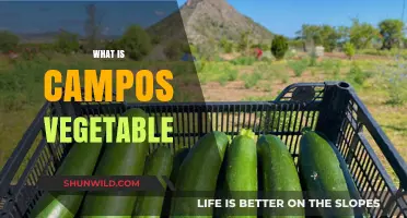 Discover the Unique Flavor and Benefits of Campos Vegetable