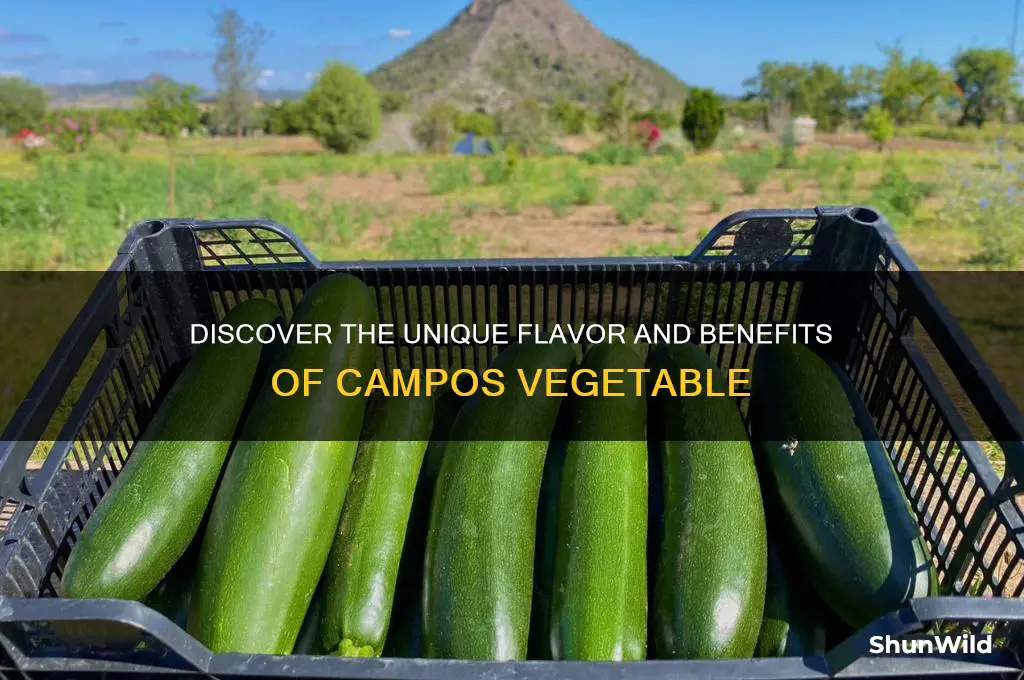 what is campos vegetable