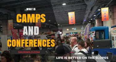Exploring Camps and Conferences: Purpose, Benefits, and Transformative Experiences