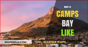 Discover Camps Bay: Cape Town's Coastal Gem and Vibrant Lifestyle Hub