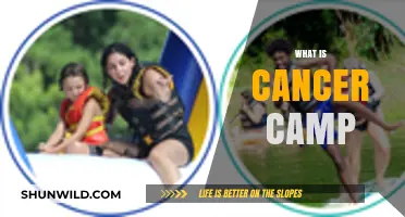 Understanding Cancer Camp: Support, Community, and Healing for Young Patients