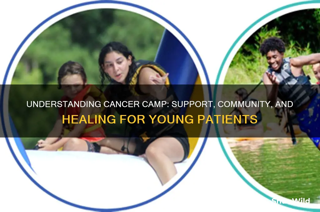 what is cancer camp