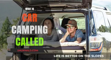 Exploring the Great Outdoors: Understanding the Term Car Camping