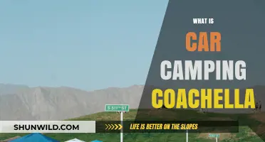 Car Camping at Coachella: Ultimate Festival Experience Guide