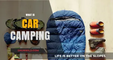Car Camping 101: Your Ultimate Guide to Comfortable Outdoor Adventures
