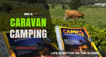 Discover the Joys of Caravan Camping: A Beginner's Guide